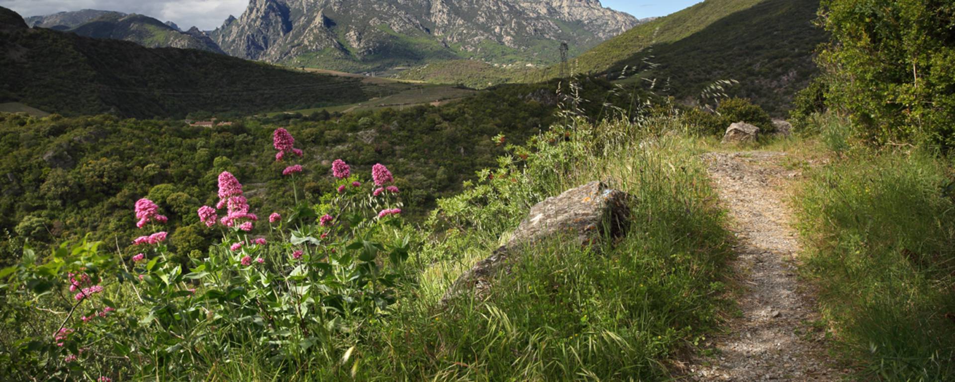 sentier Caroux