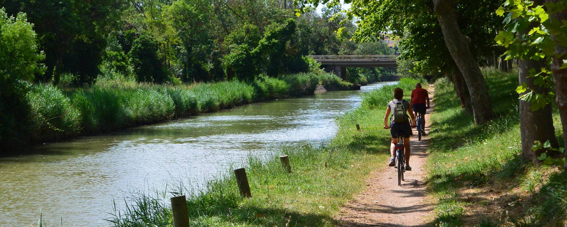 The Canal du Midi by bike