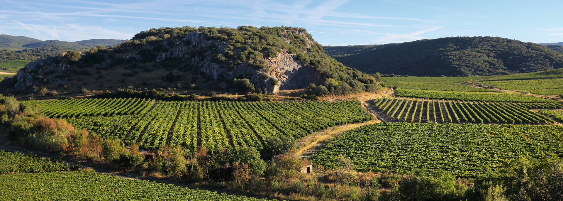 Vignoble Pays d'Art et d'Histoire Haut Languedoc et Vignobles