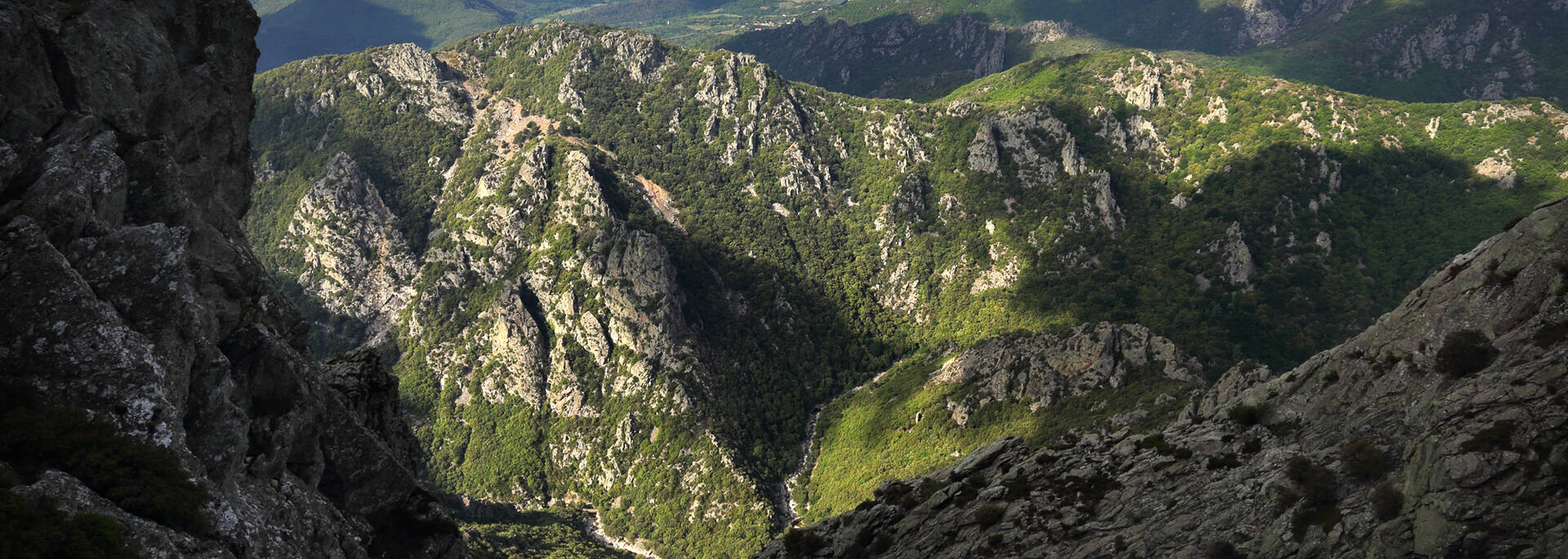 Gorges Pays d'Art et d'Histoire Haut Languedoc et Vignobles