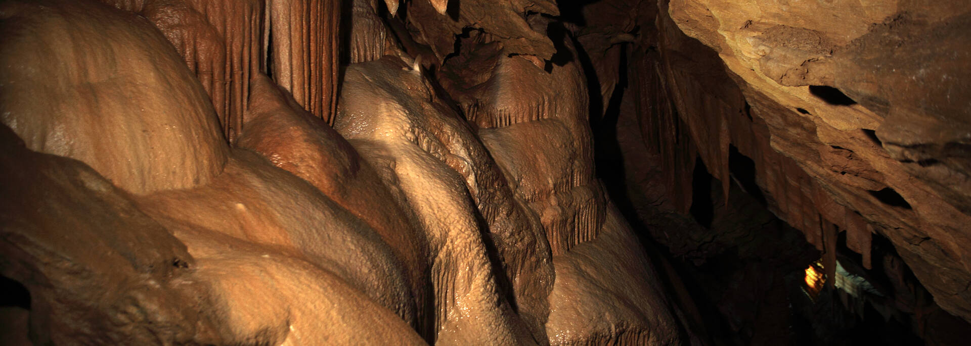  Cave in the Pays d'Art et d'Histoire, Haut Languedoc et Vignobles