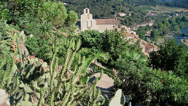 Le Jardin Méditerranéen de Roquebrun ©Alliance Consultants