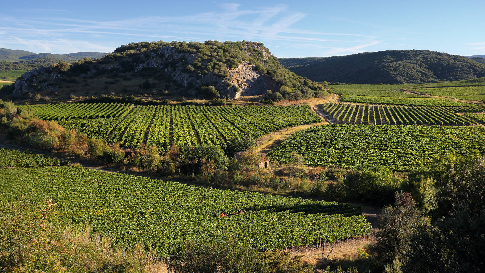 Countryside around Roquessels @G.Souche
