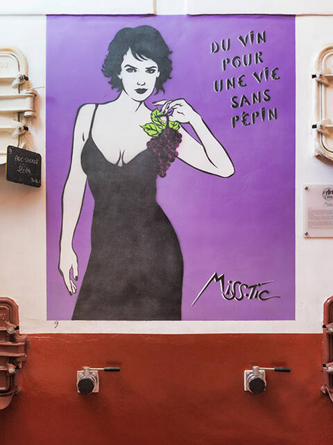 Cooperative in the Pays d'Art et d'Histoire Haut Languedoc et Vignobles