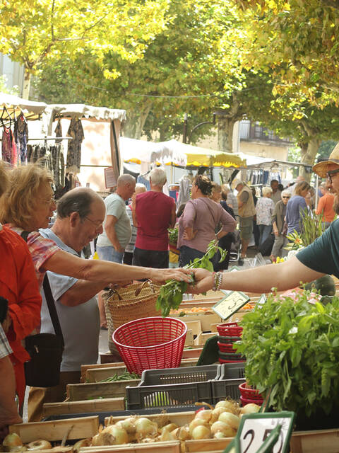 The market at Saint-Chinian ©G.Souche