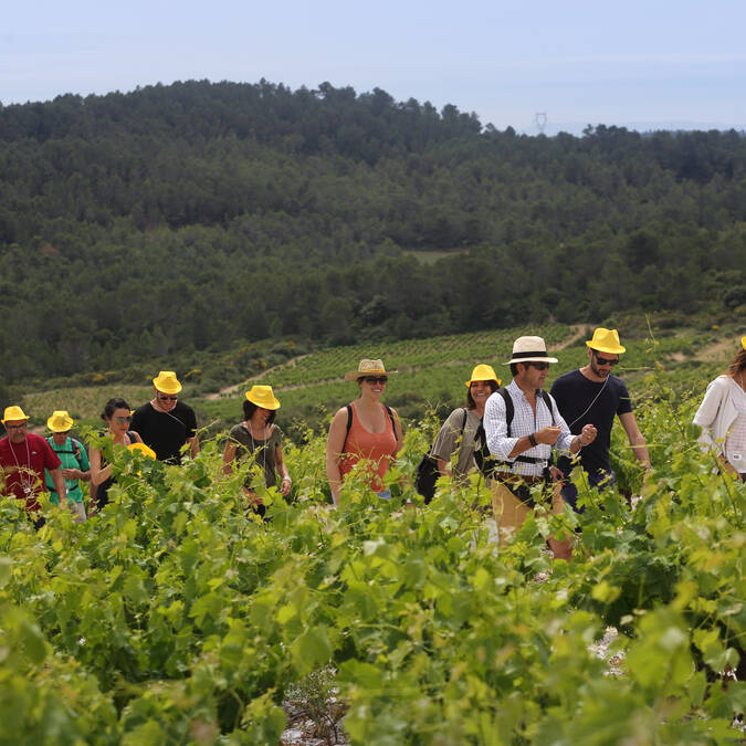 A walk with a winemaker ©G.Souche